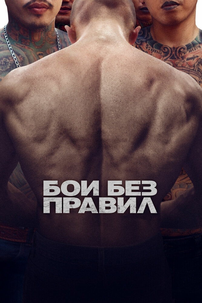 Смотреть Бои без правил онлайн в HD качестве 720p